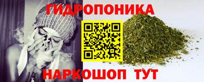 сатива Балахна